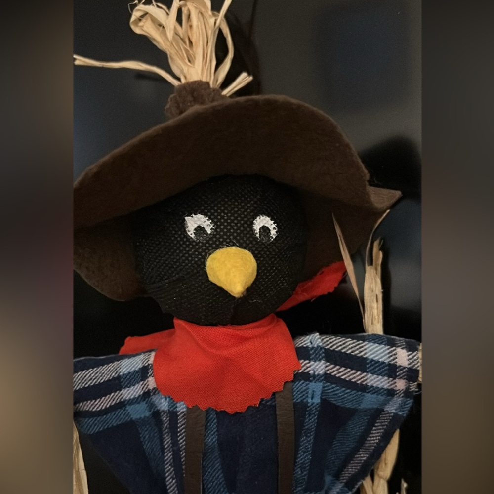 Homemade Scarecrow - Picture 4 of 4